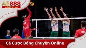 Cá Cược Bóng Chuyền Online – Siêu Phẩm Hấp Dẫn Tại Thể Thao AE888